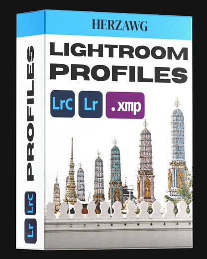 Lumix + Lightroom Bundle